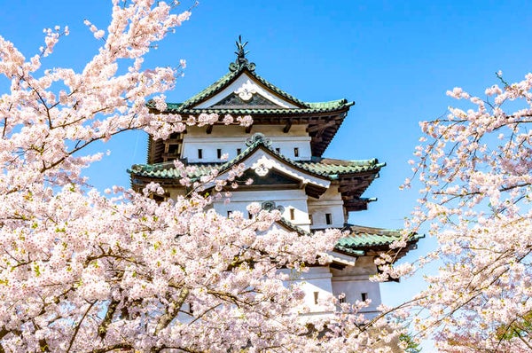 【山形県内発】 前沢牛・ズワイ蟹食べ放題!弘前城・角館・北上展勝地みちのく三大桜 2日間1